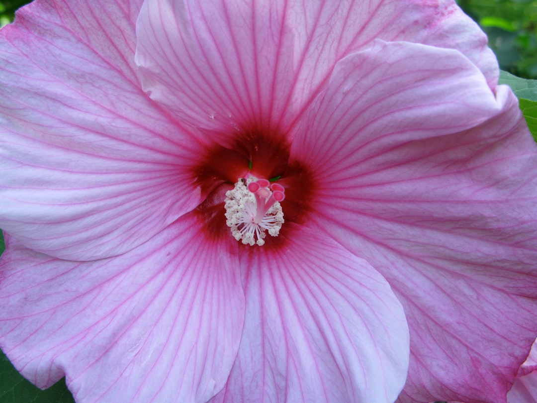 <a href="https://tuscanyvillas.neighborhood.online/news">News & Announcements</a> 16c78e53-c733-4988-8a61-a8eb9d1a1d0f.jpg